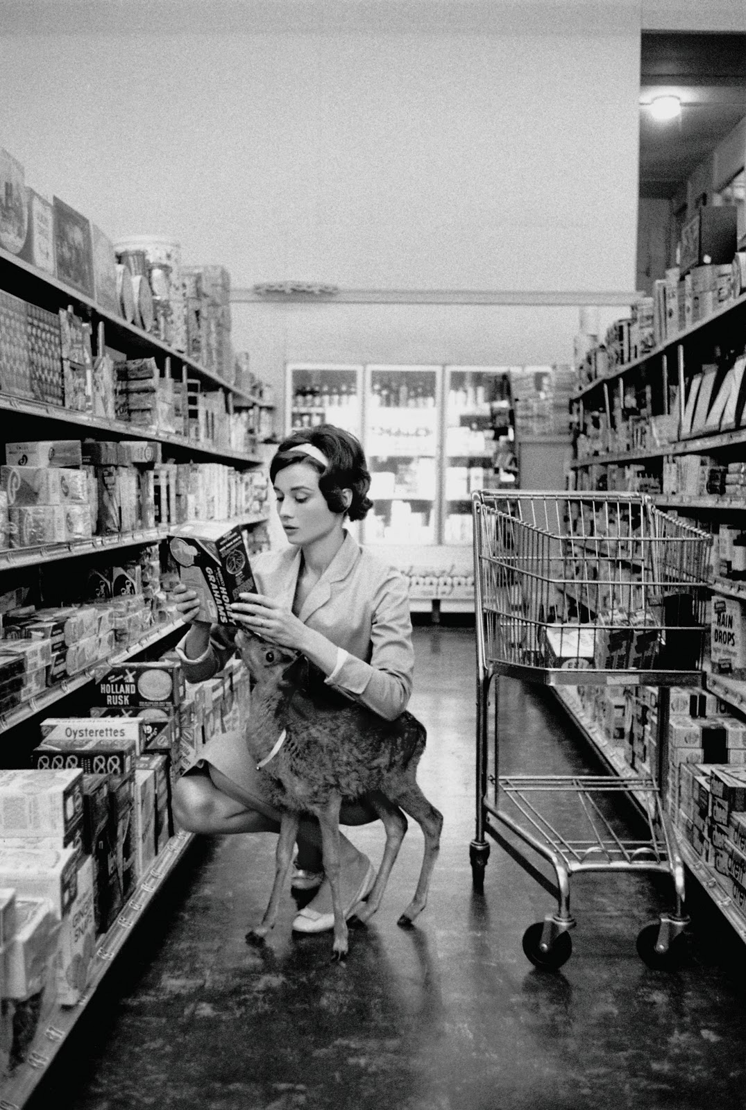 Audrey Hepburn with her pet deer IP 1958
